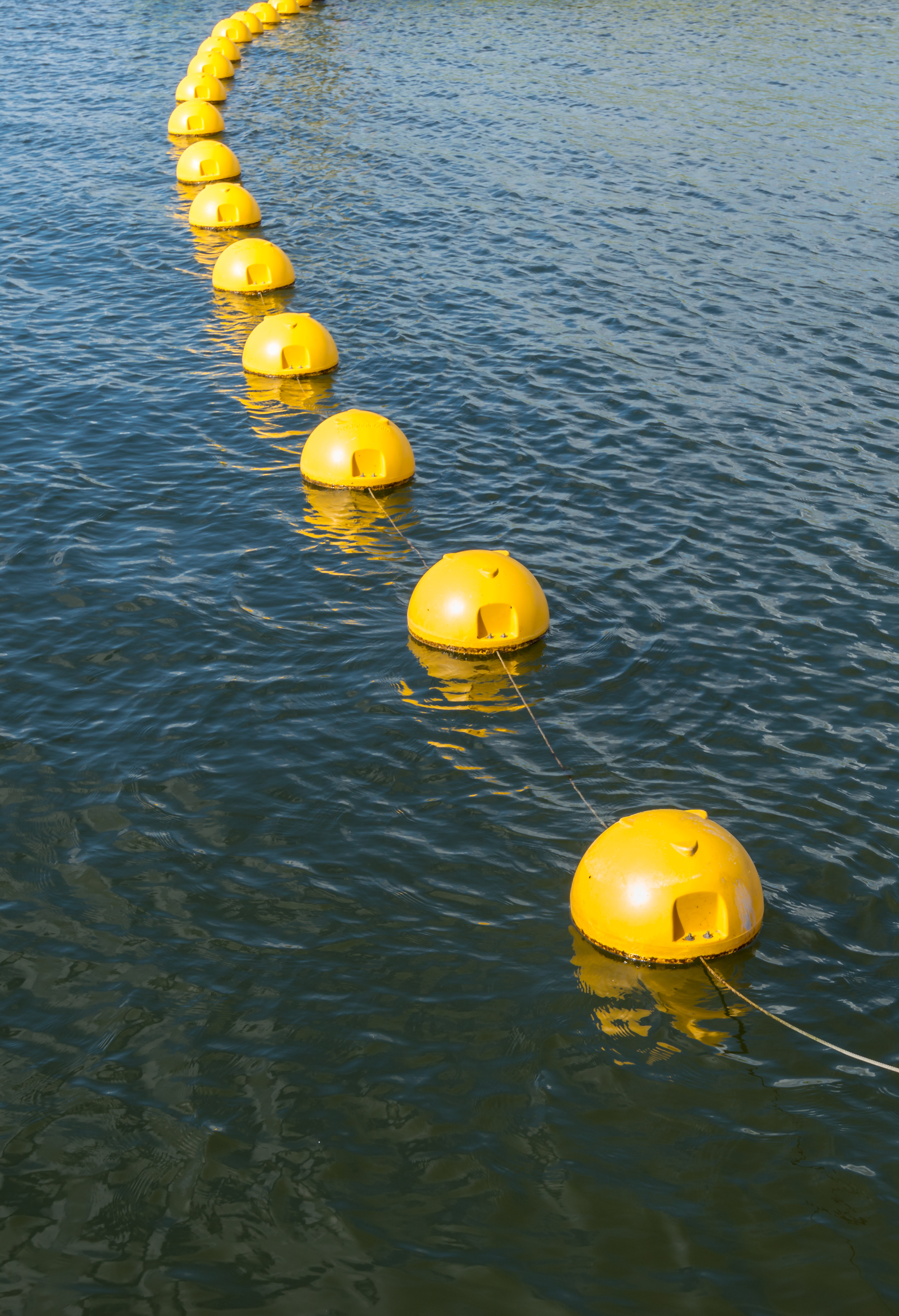 Kweekdrijvers / longlines in open water